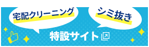 宅配クリーニング シミ抜き 特設サイト